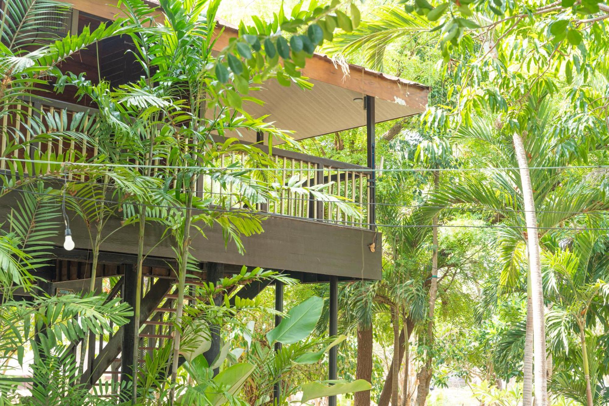 Club Serena Resort Moalboal Kültér fotó